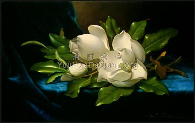 Giant Magnolias on a Blue Velvet Cloth - 马丁·约翰逊·赫德
